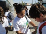 Eco-Escolas
                        Dia Bandeiras Verdes 2011, em Oliveira de Azeméis