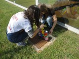 Eco-Escolas
                        Dia Bandeiras Verdes 2011, em Oliveira de Azeméis