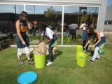 Eco-Escolas
                        Dia Bandeiras Verdes 2011, em Oliveira de Azeméis