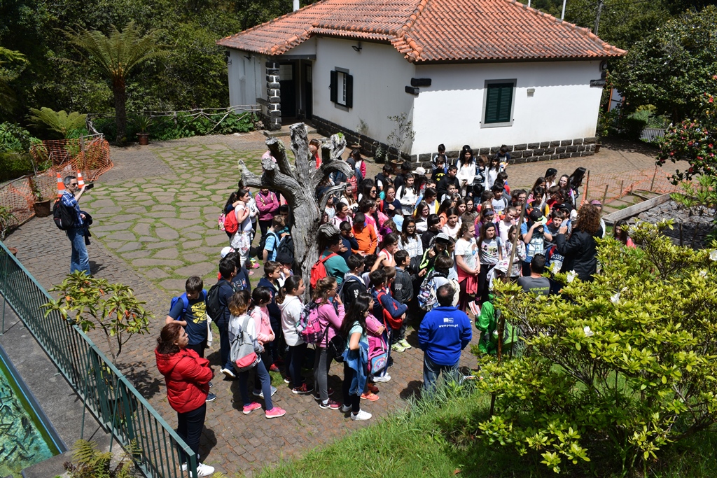 TORNEIO DE XADREZ – Escola Básica do 2.º e 3.º Ciclos do Caniço