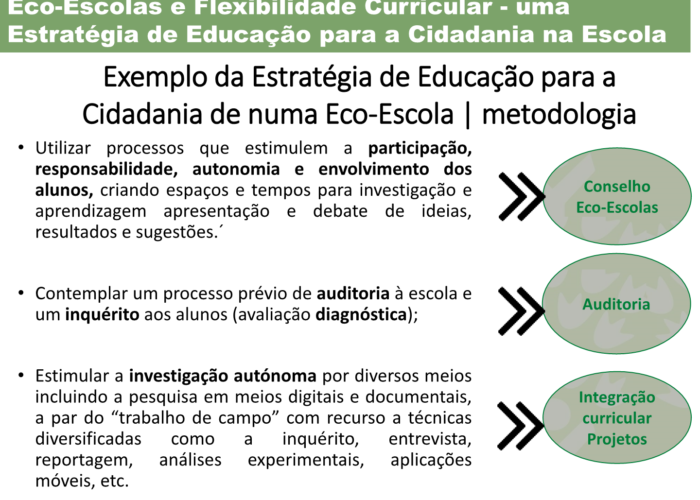 Eco-Escolas_Sintra_final30
