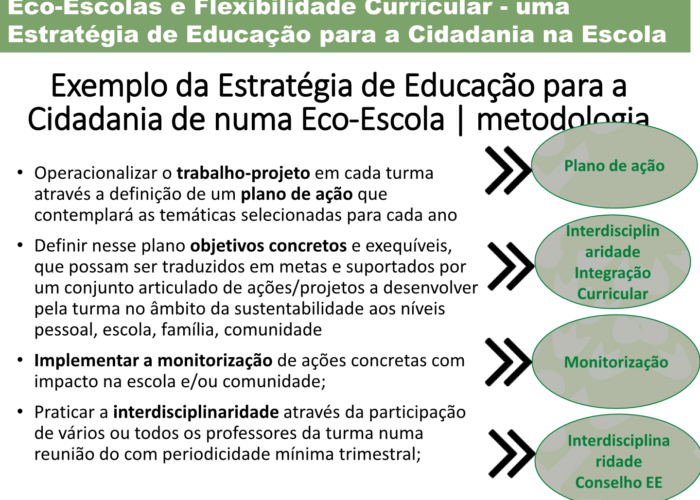 Eco-Escolas_Sintra_final31
