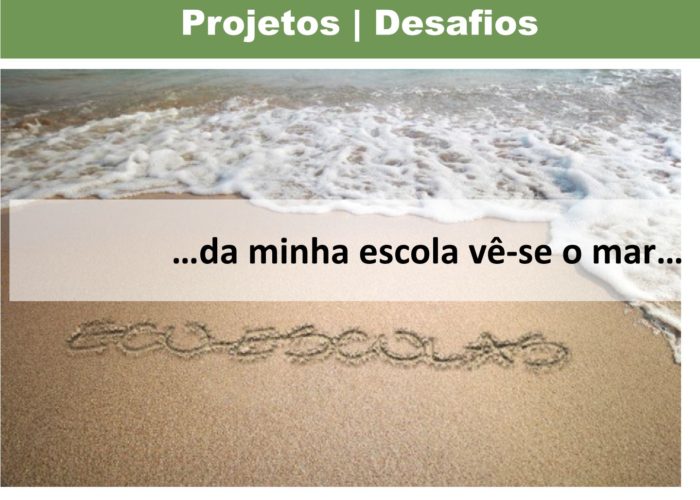 Eco-Escolas_Sintra_final56