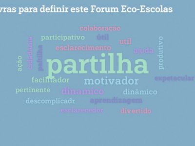 2-3-palavras-para-definir-este-forum-eco-escolas