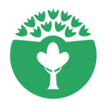 Floresta Floresta