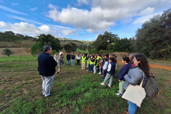 Plantação de árvores em Torres Novas 1