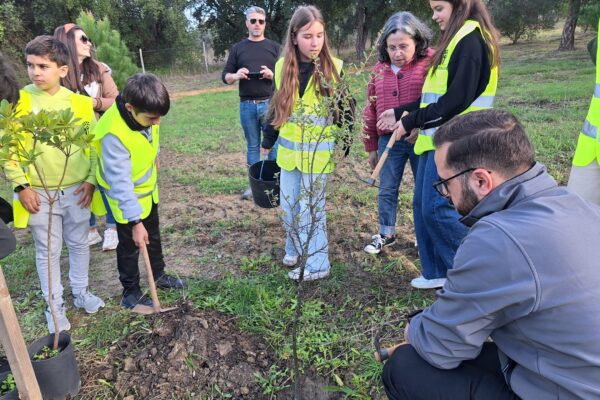 Plantação de árvores em Torres Novas 2