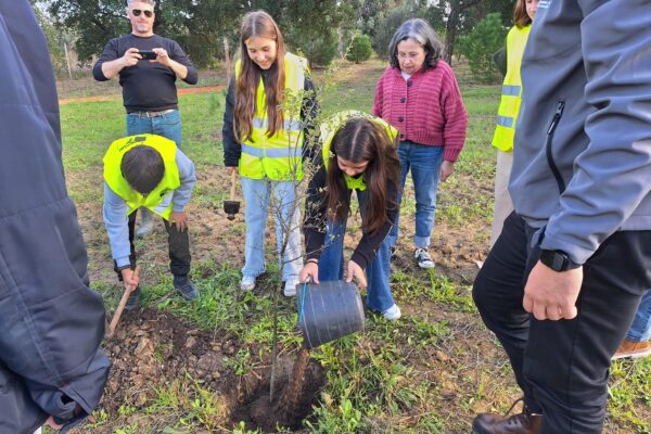 Plantação de árvores em Torres Novas 3