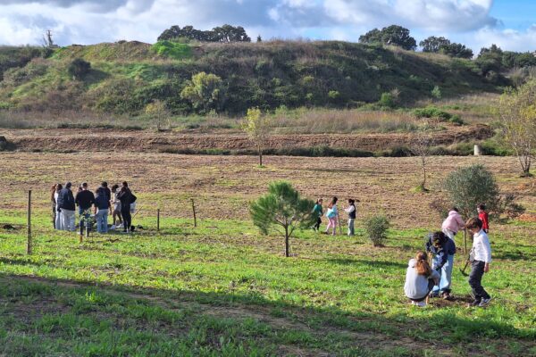 Plantação de árvores em Torres Novas 4