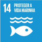 Objetivo 14 - Proteger a Vida Marinha Objetivo 14 - Proteger a Vida Marinha