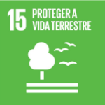 Objetivo 15 - Proteger a Vida Terrestre Objetivo 15 - Proteger a Vida Terrestre