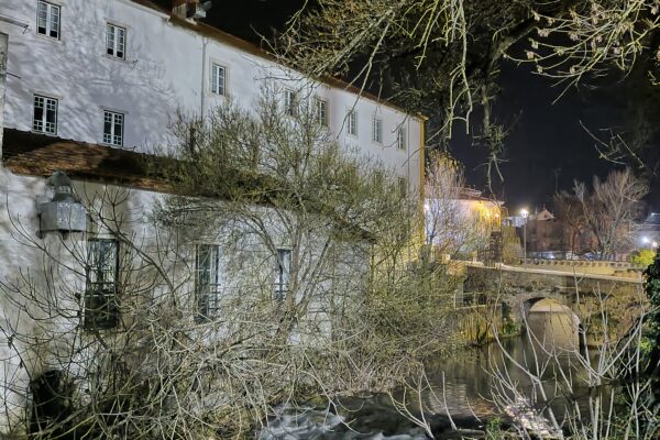 20250117_195333 20250117_195333