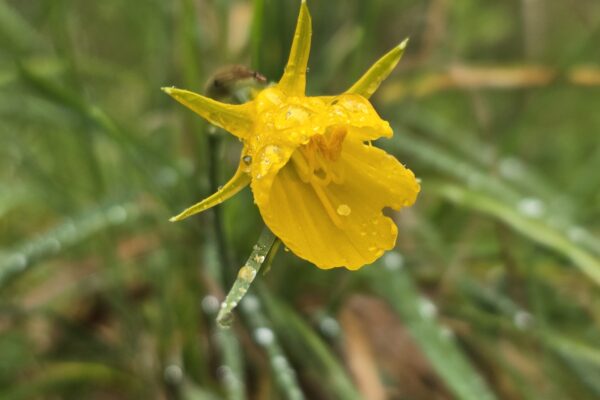 20250119_112046 20250119_112046