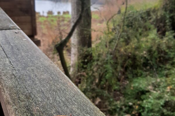 20250119_113738 20250119_113738