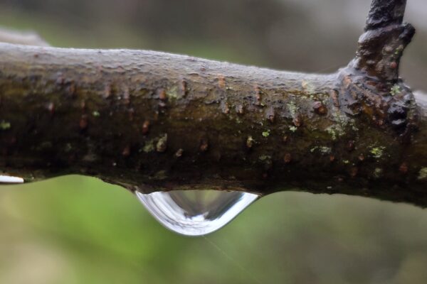 20250119_123532 20250119_123532