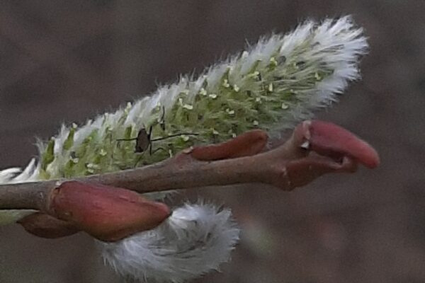 20250201_183442 20250201_183442