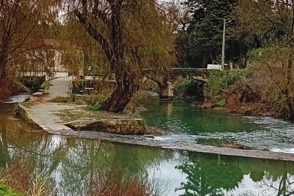 AnaCristinaPereiraEBPadreAlbertoNeto1 AnaCristinaPereiraEBPadreAlbertoNeto1