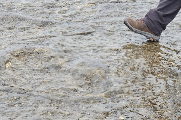 Caminhando Lado a lado Caminhando Lado a lado