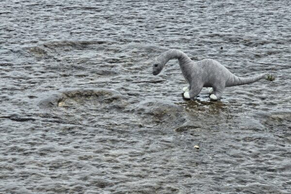 O que conta um Trilho O que conta um Trilho