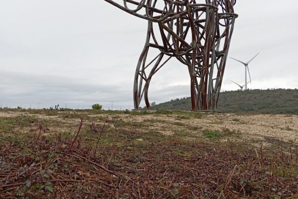 Pegada de Gigante Pegada de Gigante