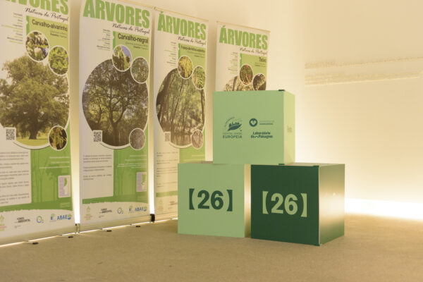 22_01_2026_SeminarioEcoEscolas_CCVF_0013