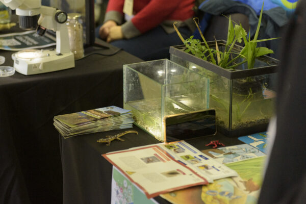 22_01_2026_SeminarioEcoEscolas_CCVF_0017