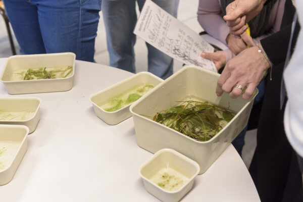 24_01_2026_SeminarioEcoEscolas_CCVF_0031