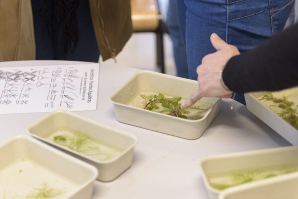 24_01_2026_SeminarioEcoEscolas_CCVF_0032