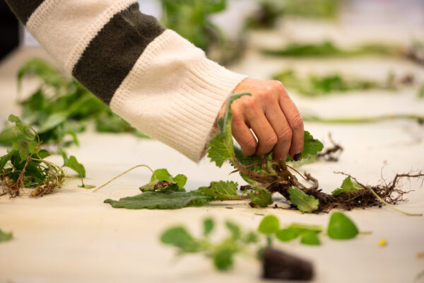 24_01_2026_SeminarioEcoEscolas_CCVF_0086