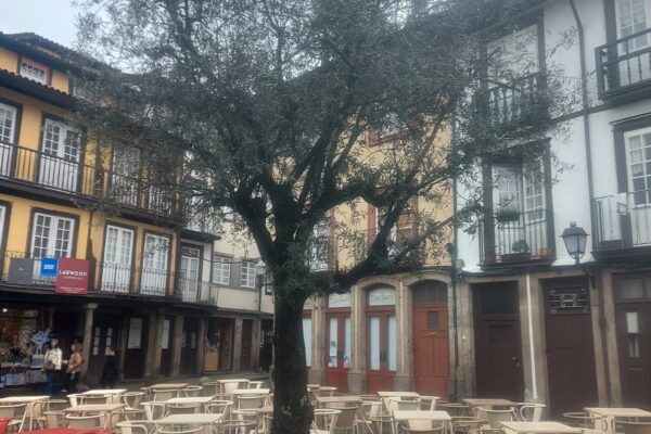 4caa5b1e-49c2-4663-8b1c-c1622c7585fd