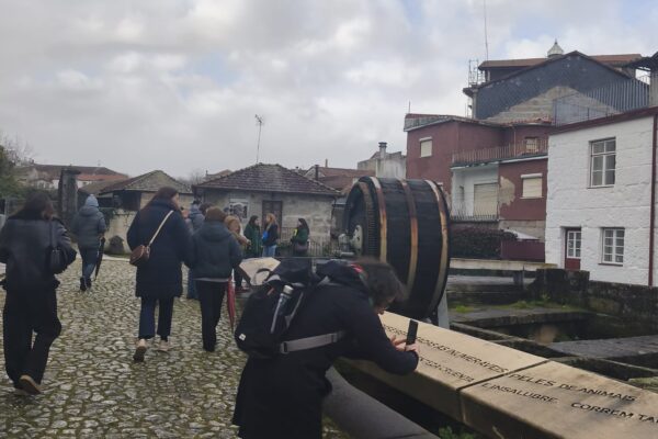 WhatsApp Image 2026-01-28 at 15.44.23 (1)