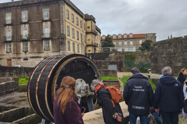 WhatsApp Image 2026-01-28 at 15.44.23