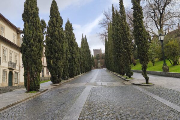 WhatsApp Image 2026-01-28 at 15.44.25