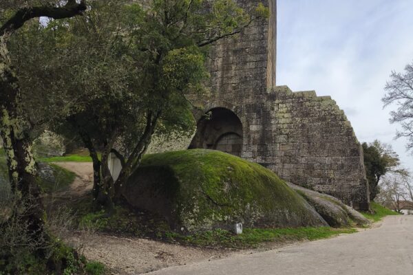 WhatsApp Image 2026-01-28 at 15.44.27 (1)