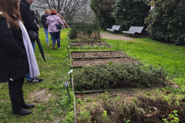 WhatsApp Image 2026-01-28 at 15.44.31