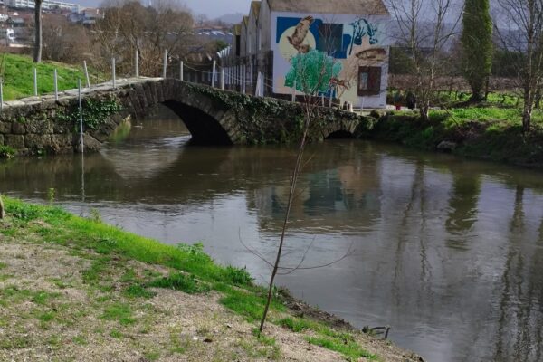 A ponte medieval sobre o Rio Selho
