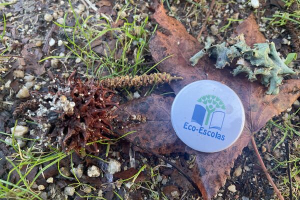 Cátia Serafina Santos Rosário-2