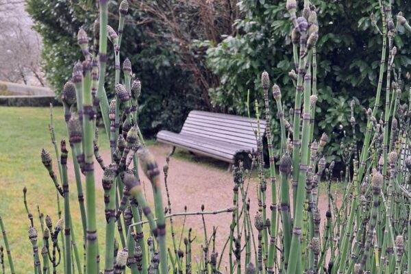 ClaudiaSilvestre_ESCS_IPL_foto2