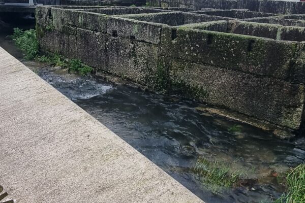 Foto2_LúciadeDeus_EB23Prof.MendesFerrão