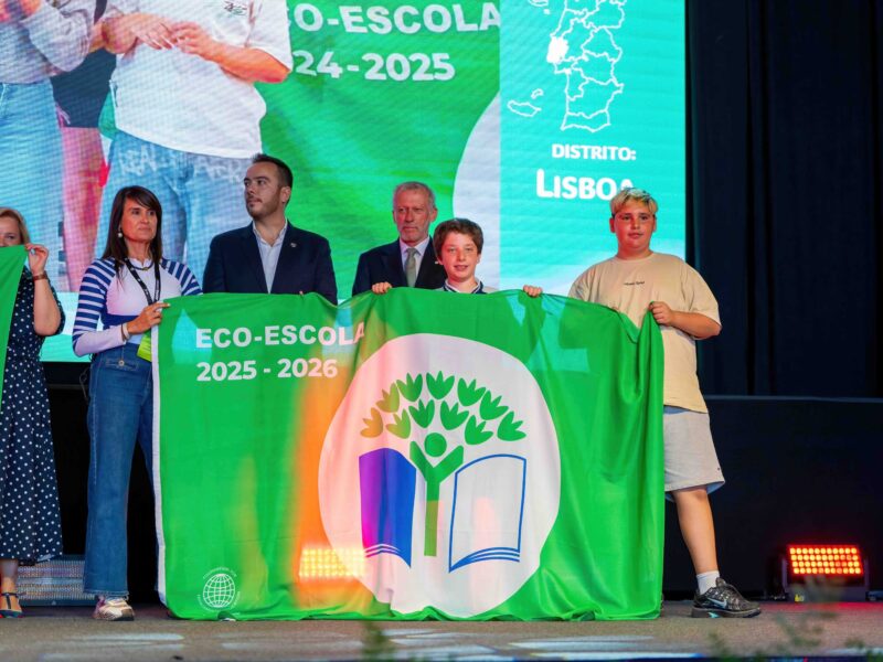 L_04174-DeNoiseAI-standard