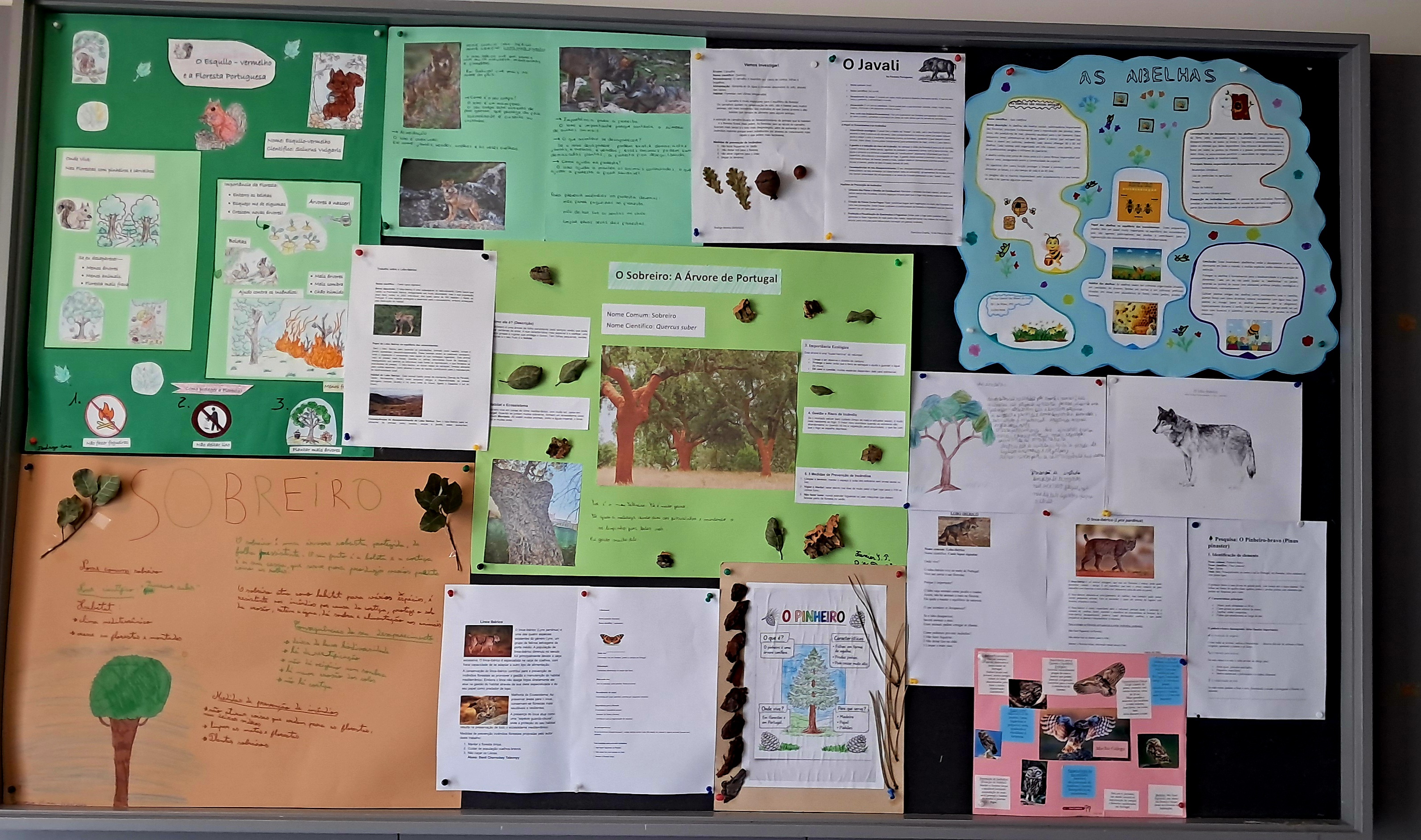 Placard final
