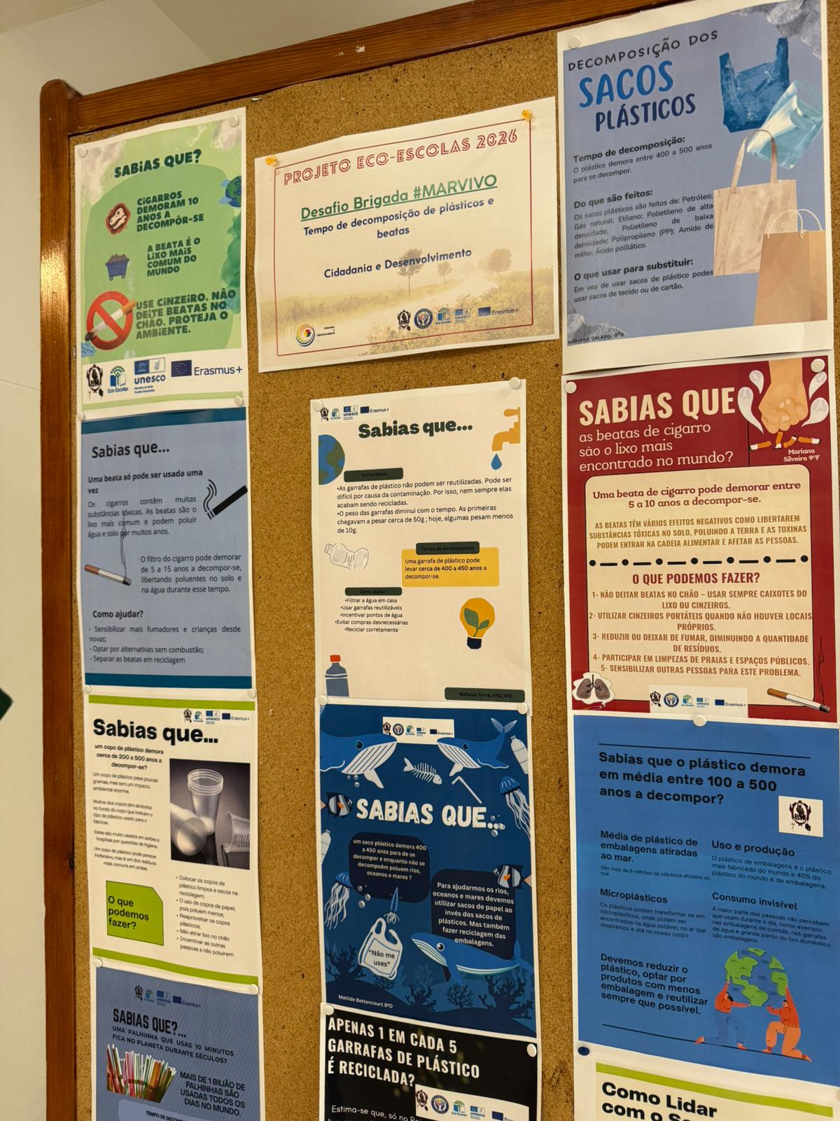 Exposição exemplificativa dos resíduos recolhidos