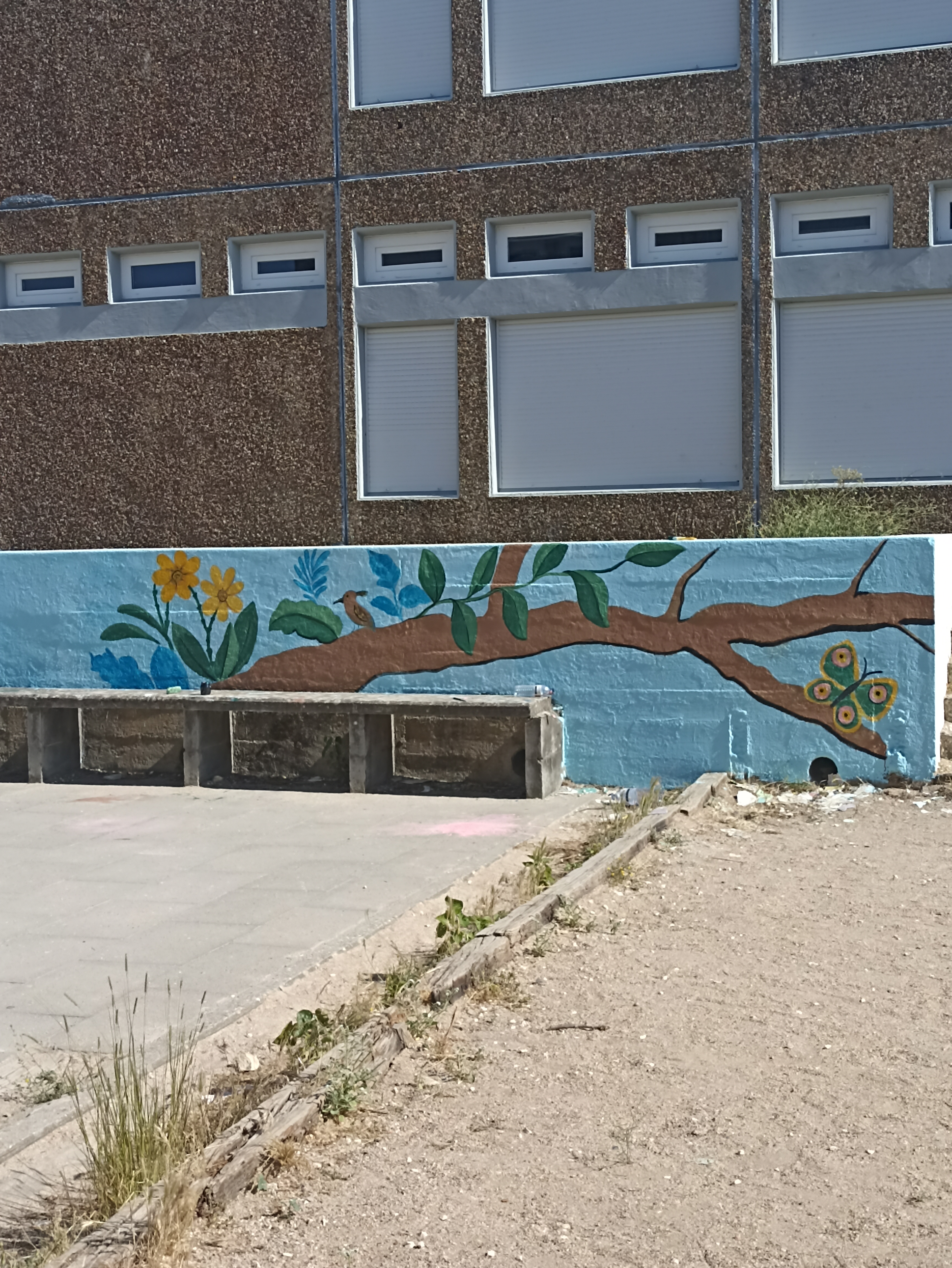 o desenho pintado.
