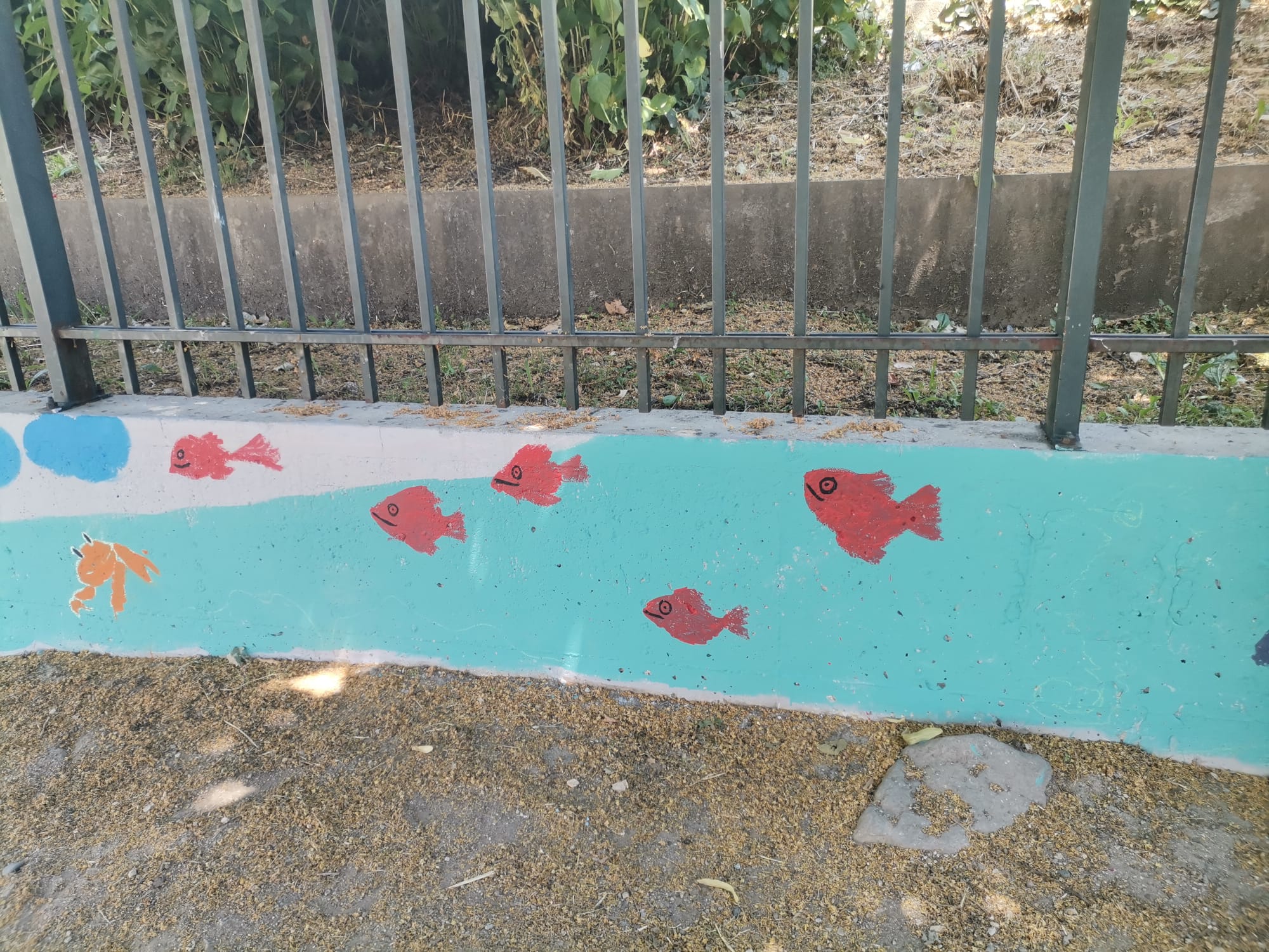 Uma parte do muro.